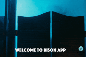 Life Crypto GIF by BISONApp