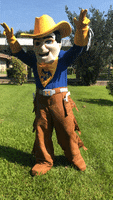 Guns Up Mascot GIF by McNeese State University