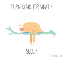 Turn Down For What Sleeping GIF by SLOTHILDA