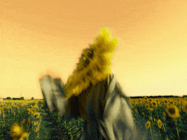 Dance Sunflower GIF by Missio