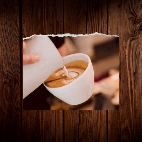 Wake Up Morning GIF by Berk's Beans Coffee