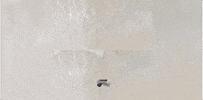 After Effects GIF