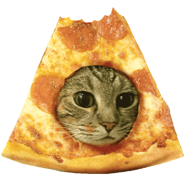 Cat Pizza Sticker by the pizzacat