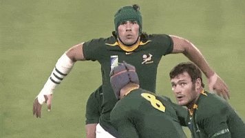 South Africa Win GIF by Rugby World Cup