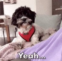 Um GIF by Chrisanthy Stotis