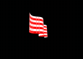 Flag Type GIF