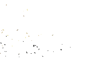 Soey Fashion Sticker