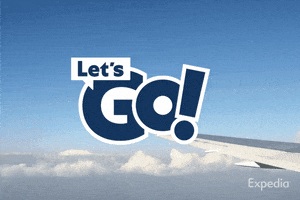Flying Lets Go GIF by Expedia