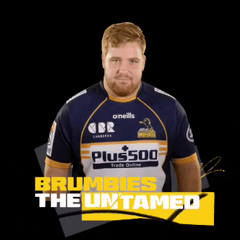 Tom Ross GIF by BrumbiesRugby