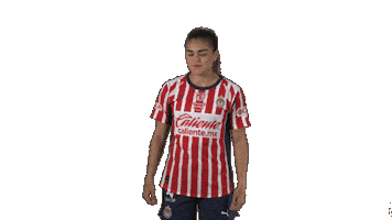 Liga Mx Futbol Sticker by Chivas Oficial