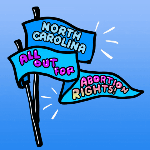 Digital art gif. Two pennants wiggle slightly against a light blue background. The first pennant says, “North Carolina.” The second says, “All out for abortion rights!”