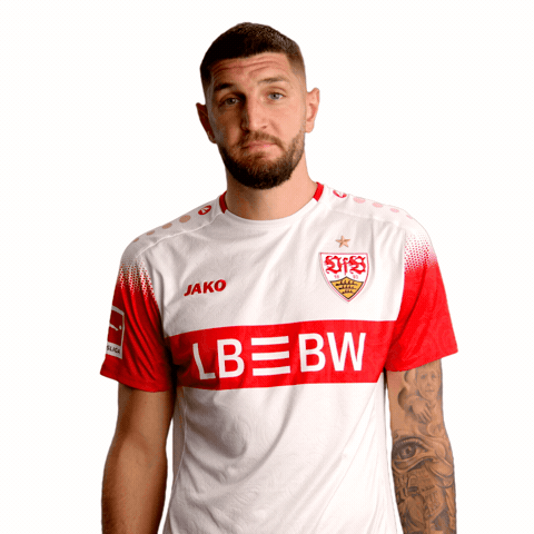 Daumen Hoch Thumbs Up GIF by VfB Stuttgart 1893