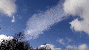 Sky GIF