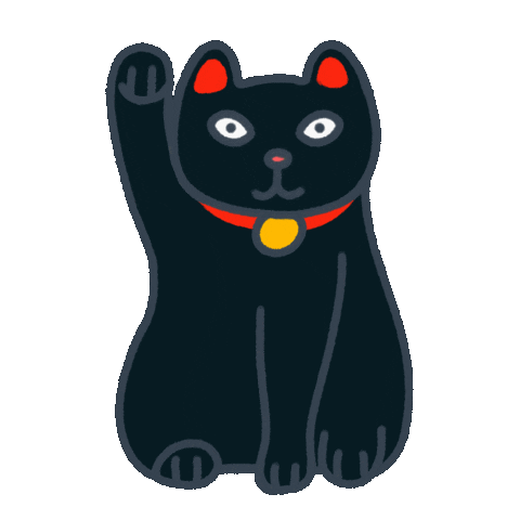 El Gato Cat GIF - El gato Cat Cute - Discover & Share GIFs