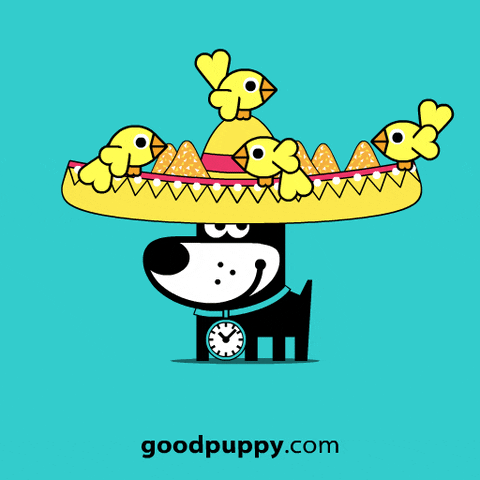 Mexican Hat Help GIF by GOOD PUPPY