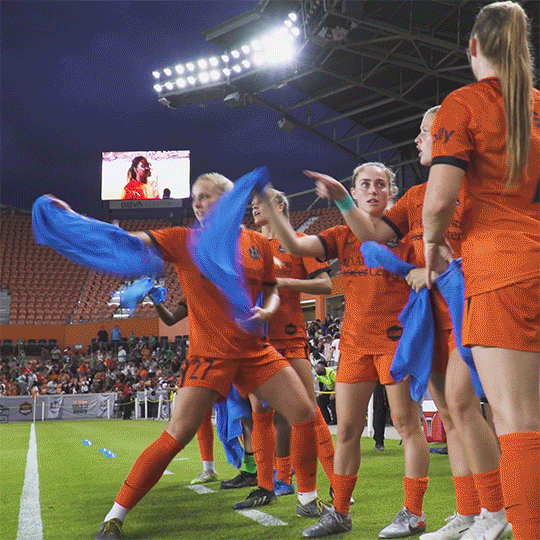 Reeling In Womens Soccer GIF by Houston Dash