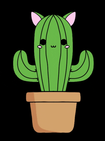ShahMiow cat cactus stay safe shahmiow GIF