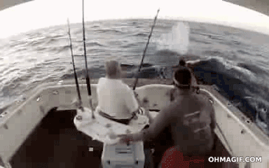 Boat GIF