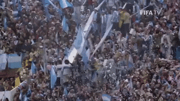 Celebrate World Cup GIF by FIFA
