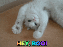 Hey Babe Reaction GIF by MOODMAN