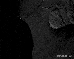 Black And White Parasite GIF by Madman Films