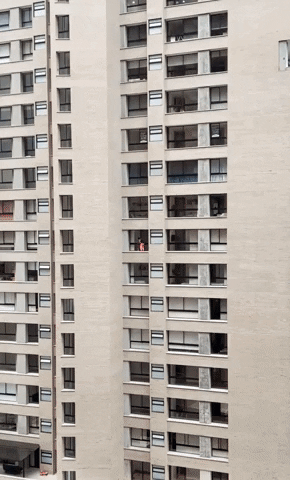 High Rise Cleaning GIF by Storyful