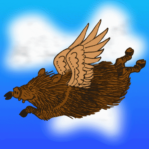 AZGFD pig impossible pigs when pigs fly GIF