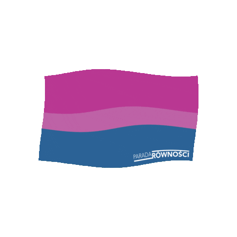 Flag Sticker by Parada Równości