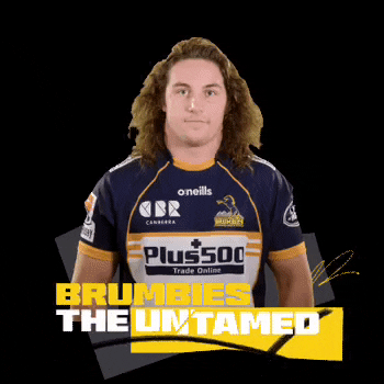 Lachlan Lonergan GIF by BrumbiesRugby