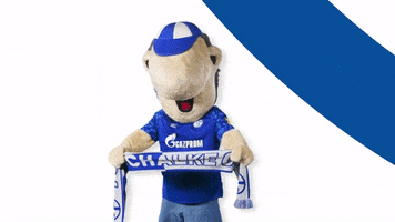 Happy German Soccer GIF by FC Schalke 04