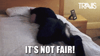 Sad-and-funny GIFs - Get the best GIF on GIPHY Sad-and-funny GIFs - Get the best GIF on GIPHY
