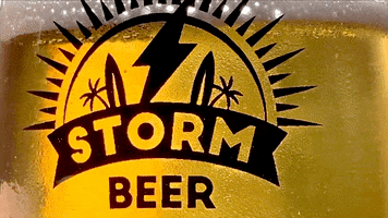 stormbeer drink beer delicious bier GIF
