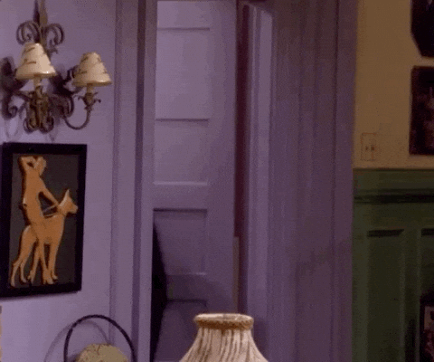 Giphy - Season 1 Episode 6 GIF by Friends