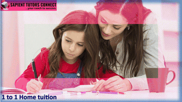 Home Tuition Singapore GIF