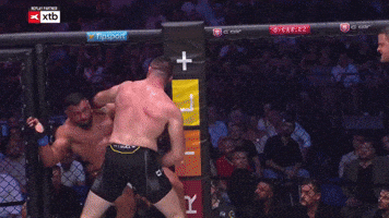 Knockout Mma GIF
