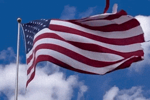 American Flag Usa GIF by Charli Gurl