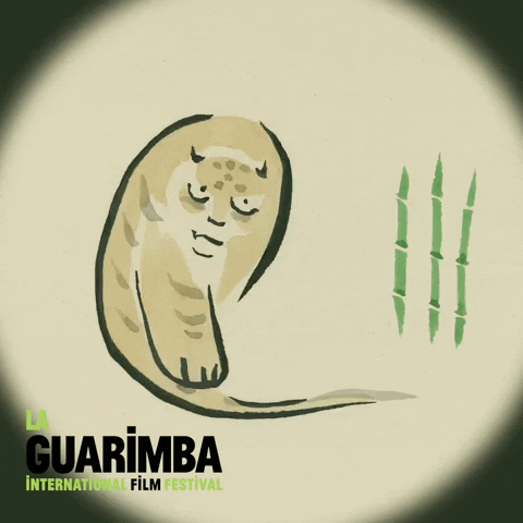 Sad China GIF by La Guarimba Film Festival