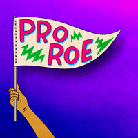 Roe V Wade Abortion GIF by INTO ACTION