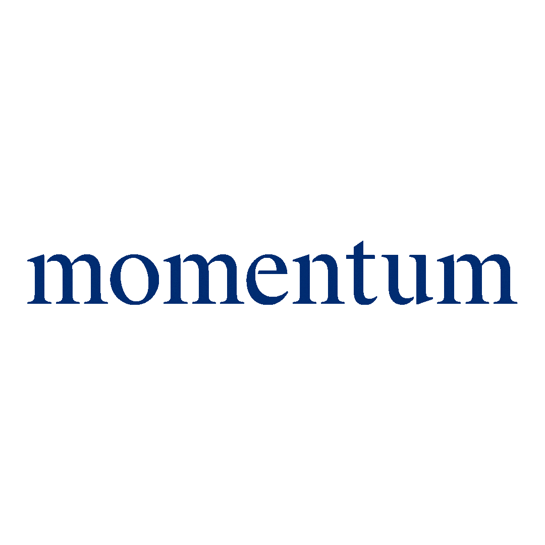 Momentum Realty Sticker