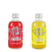 Lemon Ginger Sticker by Komvidakombucha