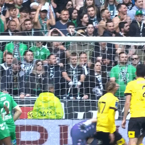 France Rage GIF by AS Saint-Étienne