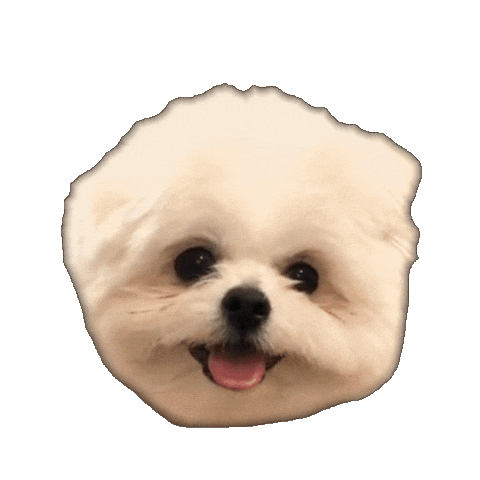 Dog 犬 Sticker
