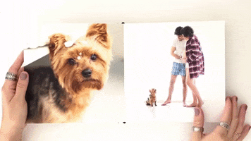 Nataly Seckler GIF