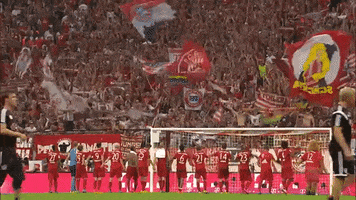 team fans GIF by FC Bayern Munich