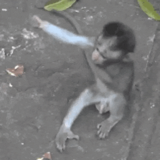 Hug GIF