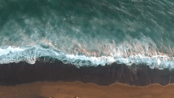 poplightproductions GIF