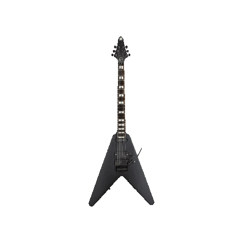 Source: The Guitar Master