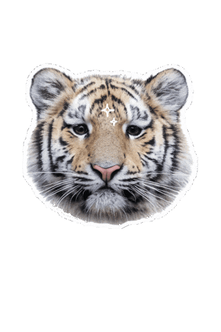 Animated Sticker