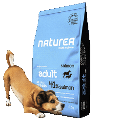 Dog Dogfood Sticker By Natureagif