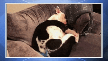 sleepy heart of television GIF by Hallmark Channel